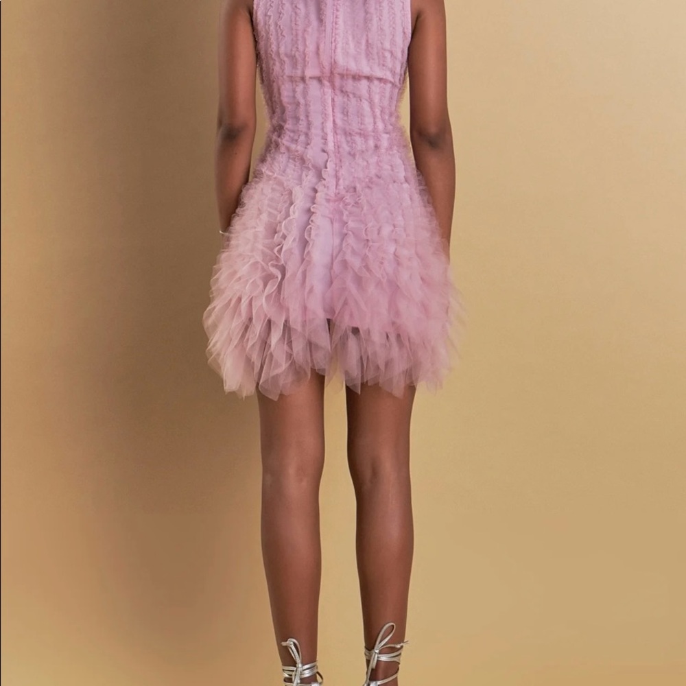 Endless Rose Mauve Ruffled Tulle Mini Dress - Picture 5 of 9